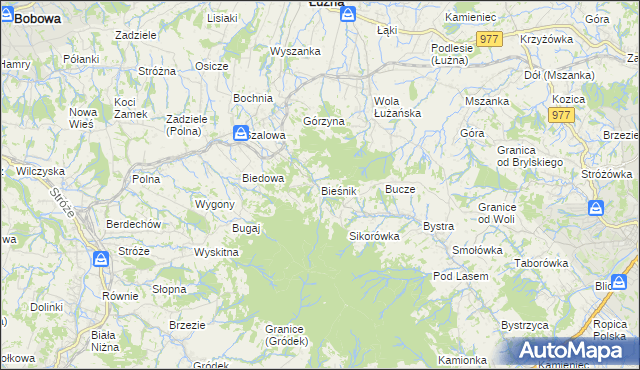 mapa Bieśnik gmina Łużna, Bieśnik gmina Łużna na mapie Targeo