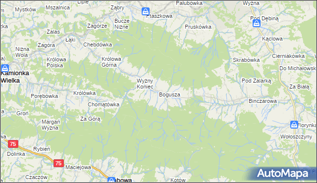 mapa Bogusza, Bogusza na mapie Targeo