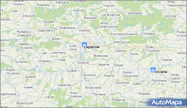 mapa Brzezowa gmina Łapanów, Brzezowa gmina Łapanów na mapie Targeo