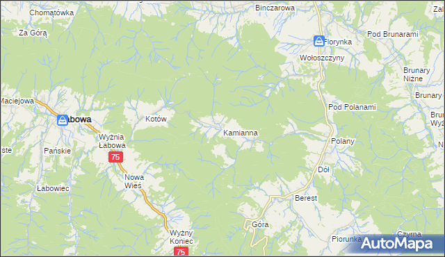 mapa Kamianna, Kamianna na mapie Targeo