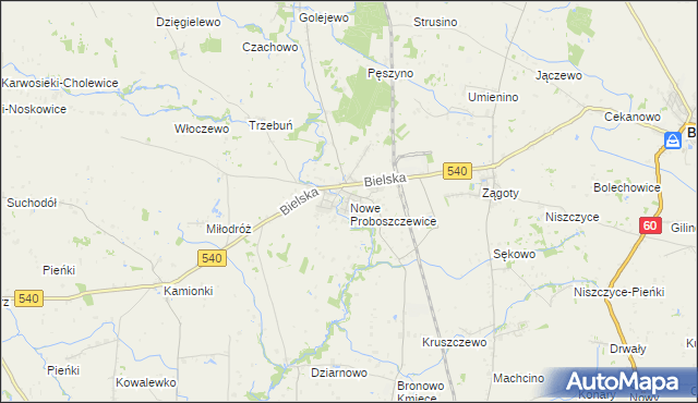 mapa Nowe Proboszczewice, Nowe Proboszczewice na mapie Targeo