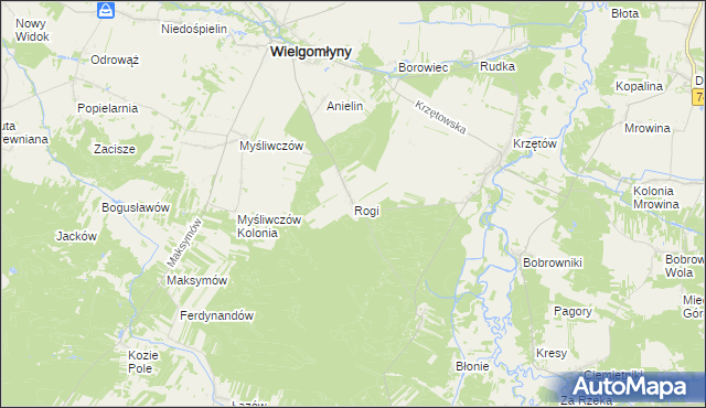 mapa Rogi gmina Wielgomłyny, Rogi gmina Wielgomłyny na mapie Targeo