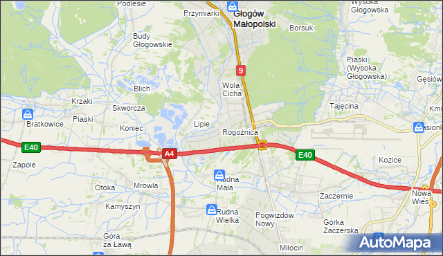 mapa Rogoźnica gmina Głogów Małopolski, Rogoźnica gmina Głogów Małopolski na mapie Targeo