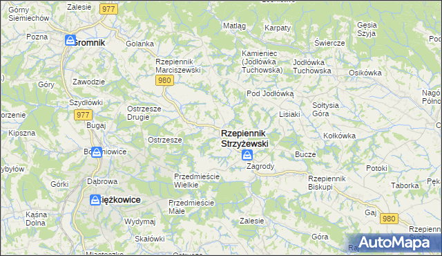 mapa Rzepiennik Strzyżewski, Rzepiennik Strzyżewski na mapie Targeo