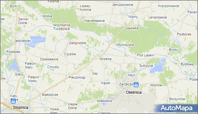 mapa Strzelce gmina Oleśnica, Strzelce gmina Oleśnica na mapie Targeo