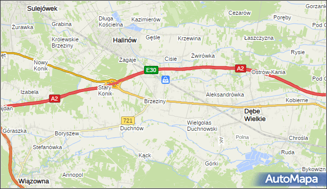 mapa Wielgolas Brzeziński, Wielgolas Brzeziński na mapie Targeo