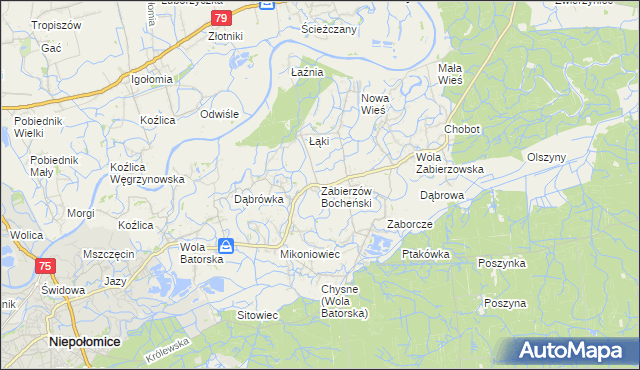 mapa Zabierzów Bocheński, Zabierzów Bocheński na mapie Targeo