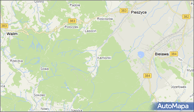 mapa Kamionki gmina Pieszyce, Kamionki gmina Pieszyce na mapie Targeo