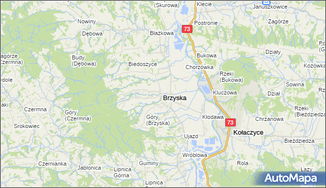 mapa Brzyska, Brzyska na mapie Targeo