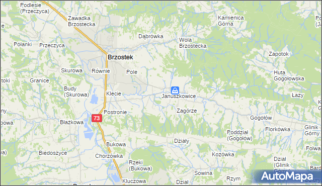 mapa Januszkowice gmina Brzostek, Januszkowice gmina Brzostek na mapie Targeo
