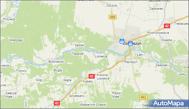 mapa Lisowice gmina Działoszyn, Lisowice gmina Działoszyn na mapie Targeo