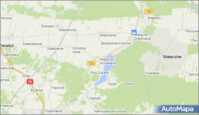 mapa Miedzna Murowana, Miedzna Murowana na mapie Targeo