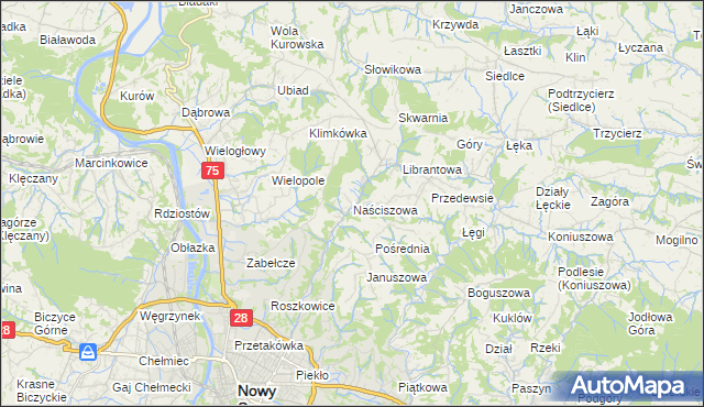 mapa Naściszowa, Naściszowa na mapie Targeo