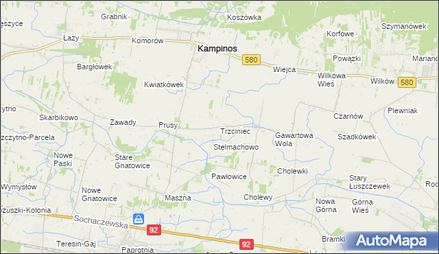 mapa Trzciniec gmina Leszno, Trzciniec gmina Leszno na mapie Targeo