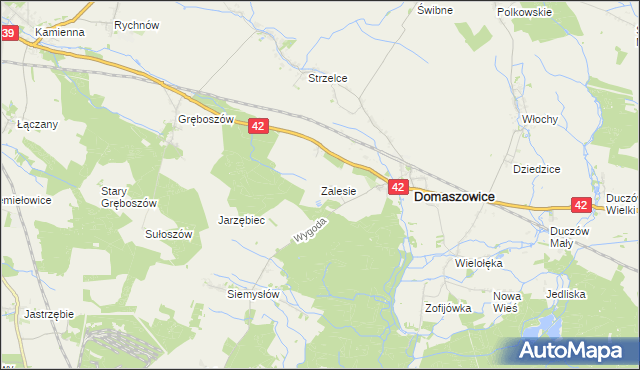 mapa Zalesie gmina Domaszowice, Zalesie gmina Domaszowice na mapie Targeo