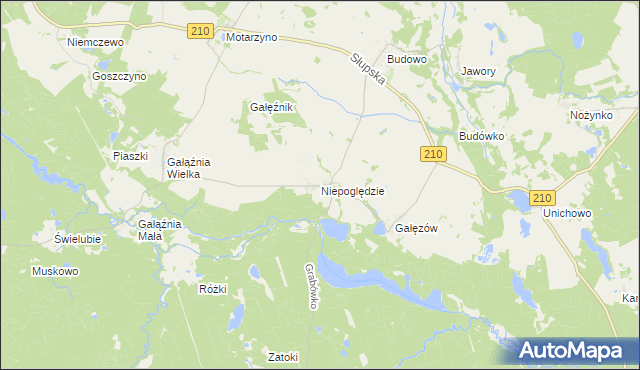 mapa Niepoględzie, Niepoględzie na mapie Targeo