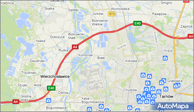 mapa Biała gmina Tarnów, Biała gmina Tarnów na mapie Targeo