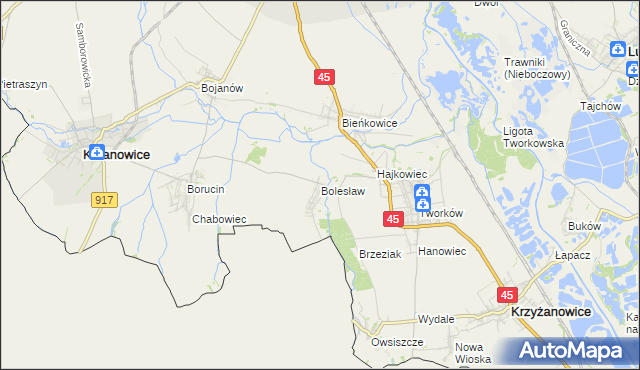 mapa Bolesław gmina Krzyżanowice, Bolesław gmina Krzyżanowice na mapie Targeo