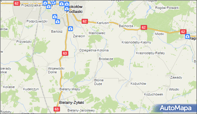 mapa Brodacze, Brodacze na mapie Targeo