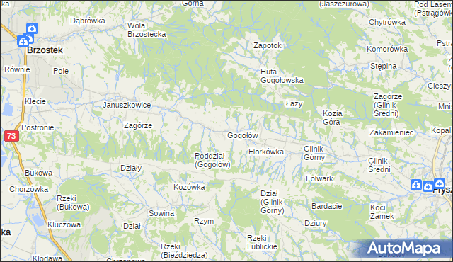 mapa Gogołów gmina Frysztak, Gogołów gmina Frysztak na mapie Targeo
