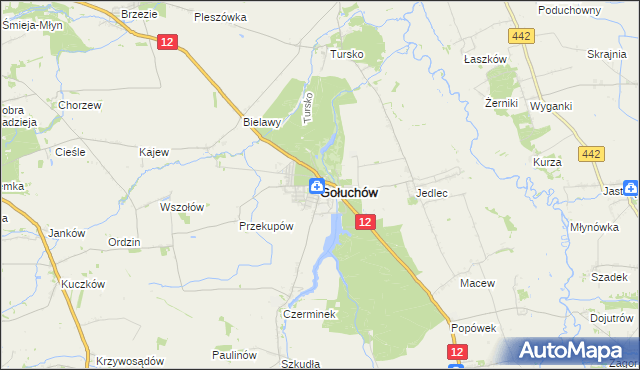 mapa Gołuchów powiat pleszewski, Gołuchów powiat pleszewski na mapie Targeo