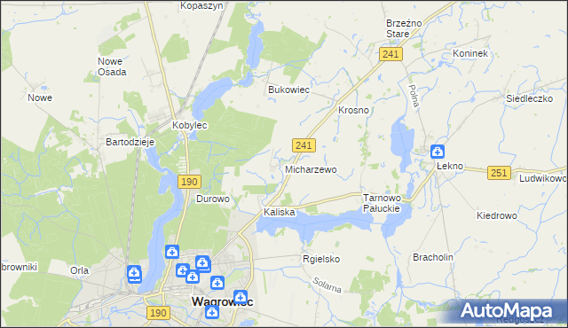 mapa Micharzewo, Micharzewo na mapie Targeo