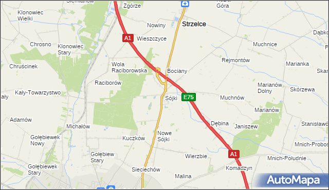 mapa Sójki gmina Strzelce, Sójki gmina Strzelce na mapie Targeo