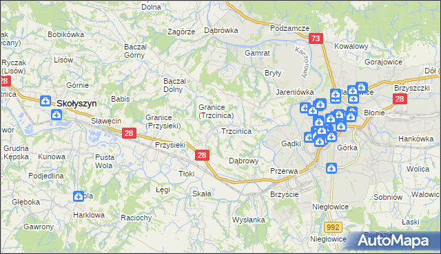 mapa Trzcinica gmina Jasło, Trzcinica gmina Jasło na mapie Targeo