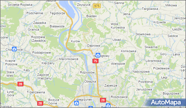 mapa Wielogłowy gmina Chełmiec, Wielogłowy gmina Chełmiec na mapie Targeo