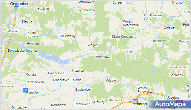 mapa Antoniów gmina Kodrąb, Antoniów gmina Kodrąb na mapie Targeo