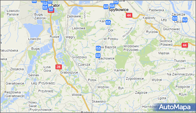 mapa Bachowice, Bachowice na mapie Targeo