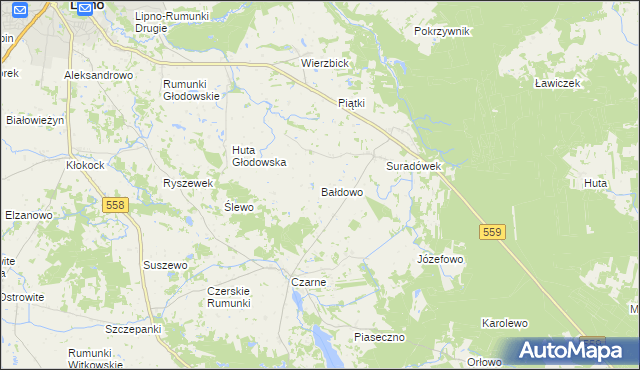 mapa Bałdowo gmina Wielgie, Bałdowo gmina Wielgie na mapie Targeo