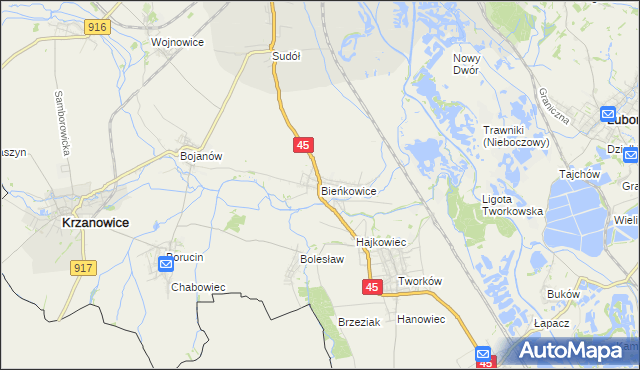 mapa Bieńkowice gmina Krzyżanowice, Bieńkowice gmina Krzyżanowice na mapie Targeo