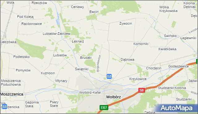 mapa Bogusławice gmina Wolbórz, Bogusławice gmina Wolbórz na mapie Targeo