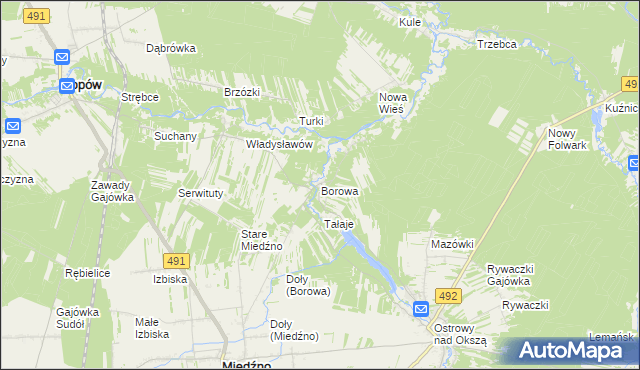 mapa Borowa gmina Miedźno, Borowa gmina Miedźno na mapie Targeo