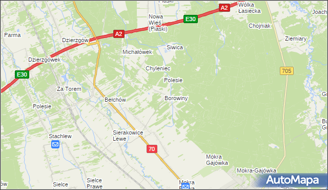 mapa Borowiny gmina Skierniewice, Borowiny gmina Skierniewice na mapie Targeo