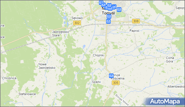 mapa Chojniki gmina Nowy Tomyśl, Chojniki gmina Nowy Tomyśl na mapie Targeo