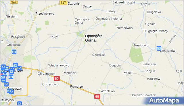 mapa Czernice gmina Opinogóra Górna, Czernice gmina Opinogóra Górna na mapie Targeo