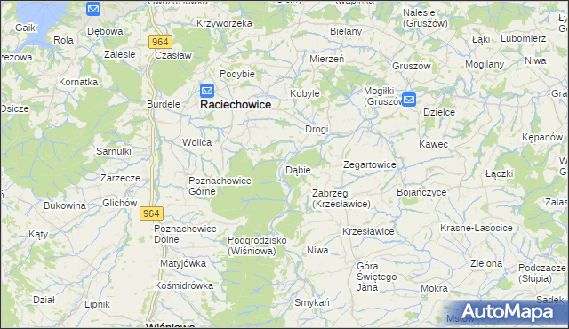 mapa Dąbie gmina Raciechowice, Dąbie gmina Raciechowice na mapie Targeo