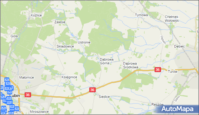 mapa Dąbrowa Górna gmina Lubin, Dąbrowa Górna gmina Lubin na mapie Targeo