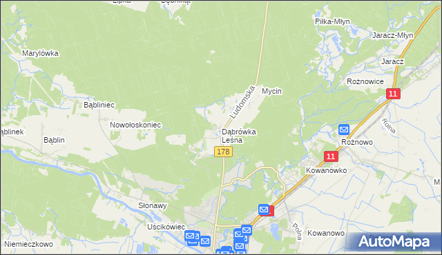 mapa Dąbrówka Leśna, Dąbrówka Leśna na mapie Targeo
