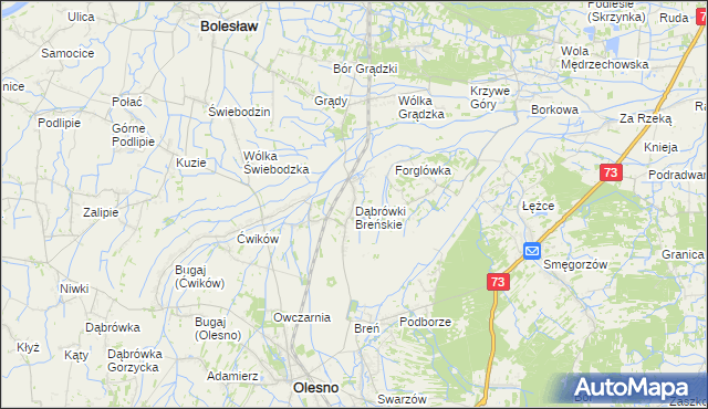 mapa Dąbrówki Breńskie, Dąbrówki Breńskie na mapie Targeo