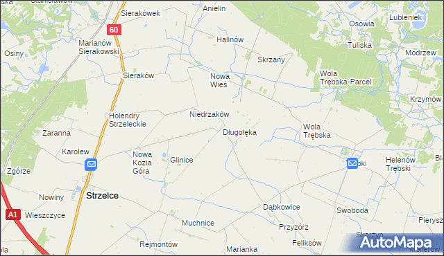 mapa Długołęka gmina Strzelce, Długołęka gmina Strzelce na mapie Targeo