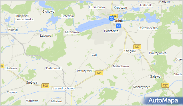 mapa Gaj gmina Gostyń, Gaj gmina Gostyń na mapie Targeo