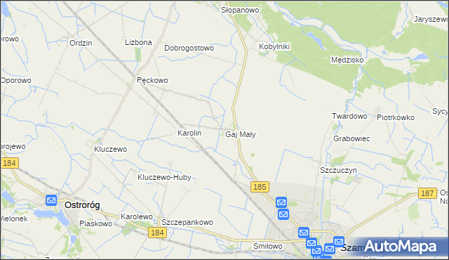 mapa Gaj Mały gmina Obrzycko, Gaj Mały gmina Obrzycko na mapie Targeo