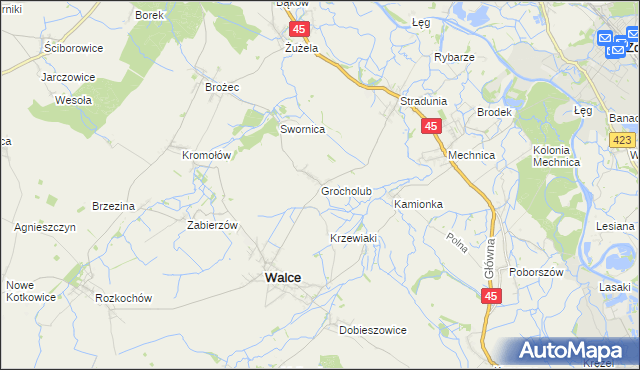 mapa Grocholub, Grocholub na mapie Targeo