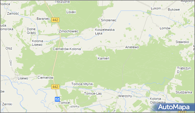 mapa Kamień gmina Pyzdry, Kamień gmina Pyzdry na mapie Targeo