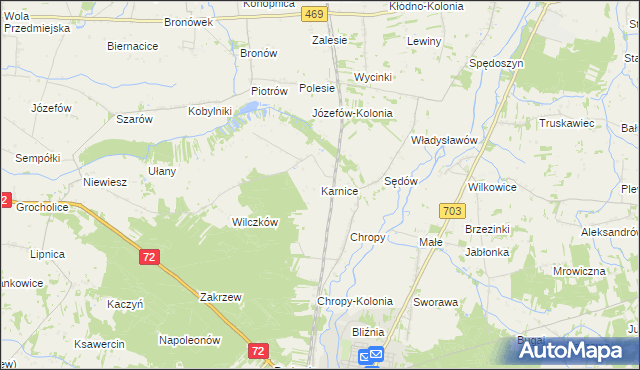 mapa Karnice gmina Poddębice, Karnice gmina Poddębice na mapie Targeo