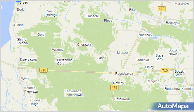 mapa Lasek gmina Warta, Lasek gmina Warta na mapie Targeo