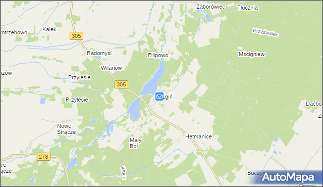 mapa Lgiń, Lgiń na mapie Targeo